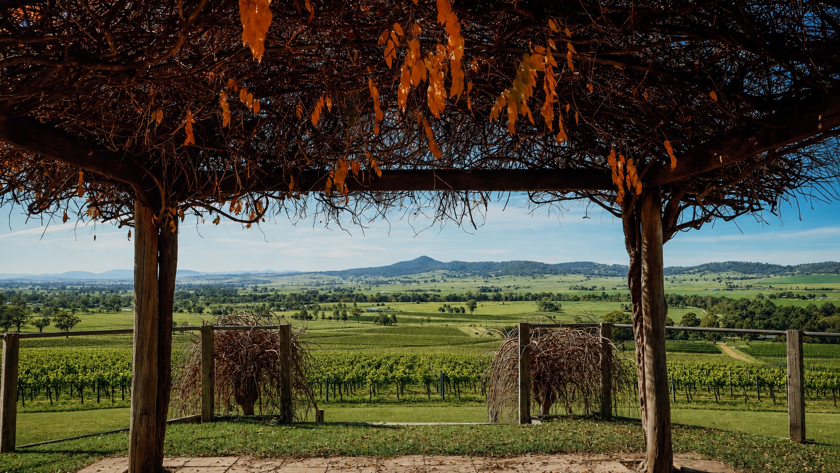 Upper Hunter Vineyards